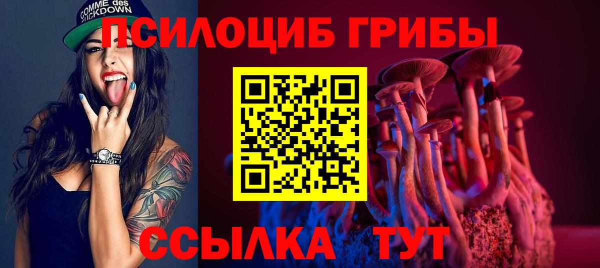 Псилоцибиновые грибы Psilocybe Северск